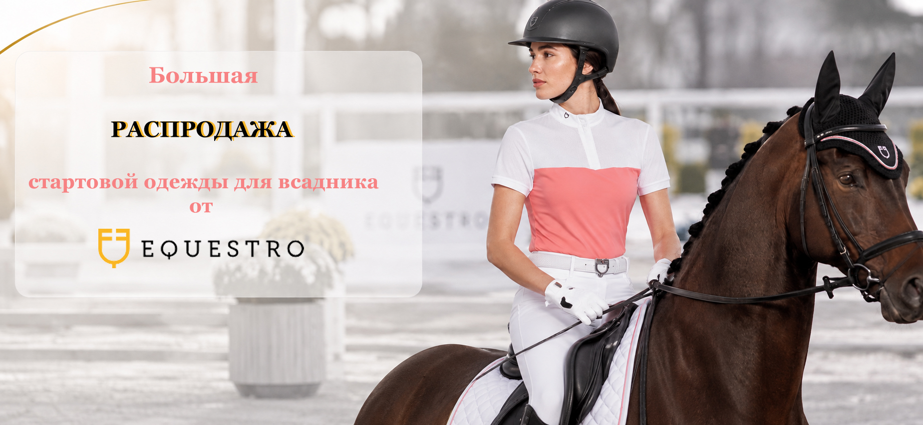 equestro_sale_web