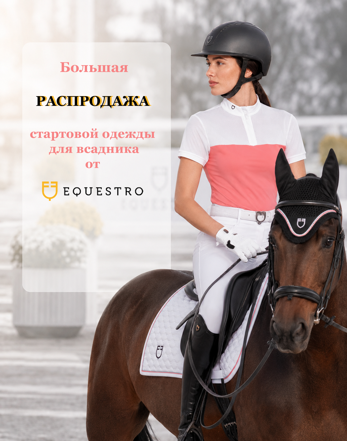 sale_equestro_mobile