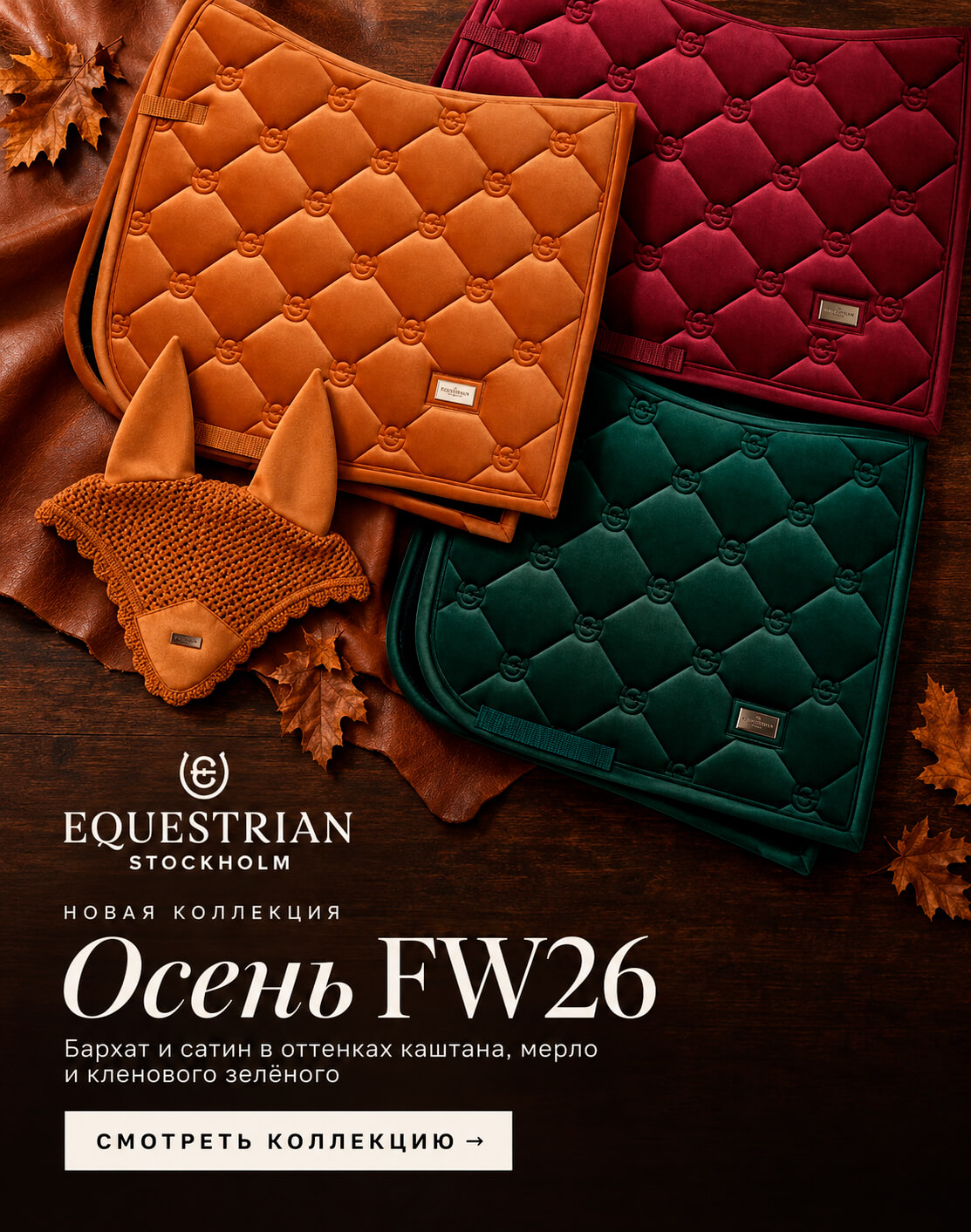 fw26-mobile